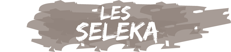 Chapitre 2 - Les Seleka