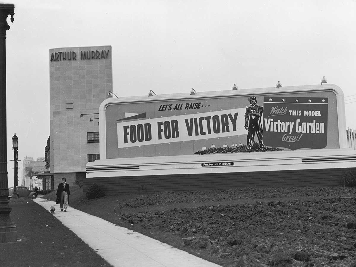 L’Oncle Sam soutient les Jardins de la victoire, en 1942. © Anthony Potter Collection/Getty Images