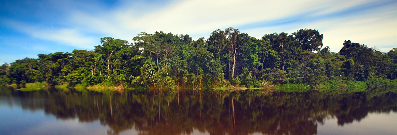 Le fleuve Amazone. Photo : Getty/Wild Horse Photography